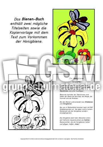 Mini-Buch-Vorkommen-Biene-5-1-5.pdf